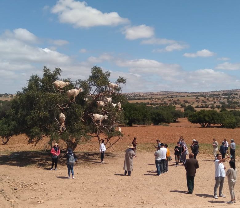 Tour de 4 días desde MARRAKECH A MERZOUGA